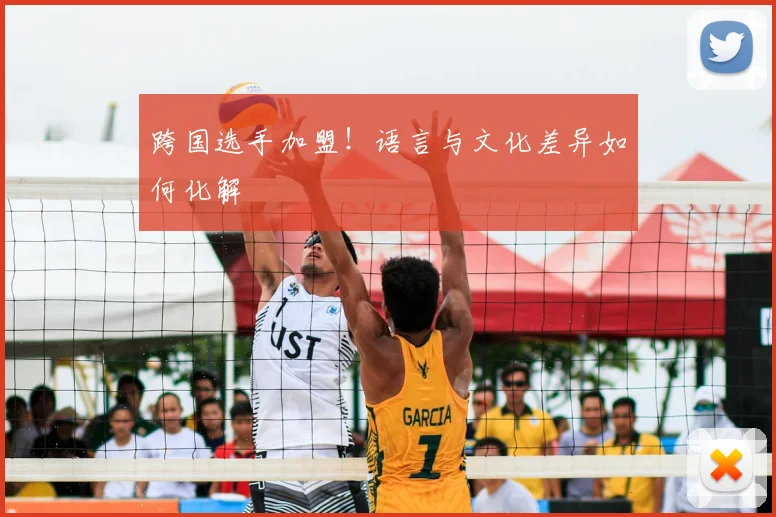 跨国选手加盟！语言与文化差异如何化解