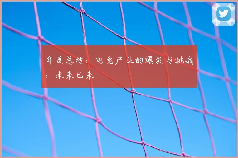 年度总结,电竞产业的爆发与挑战,未来已来