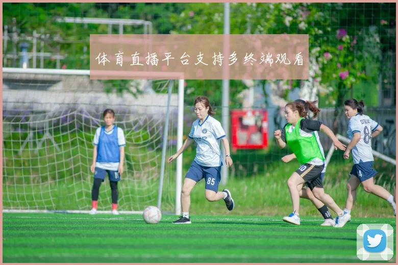体育直播平台支持多终端观看