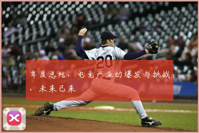 年度总结,电竞产业的爆发与挑战,未来已来