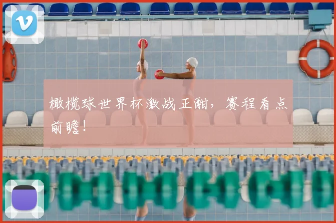 橄榄球世界杯激战正酣，赛程看点前瞻！