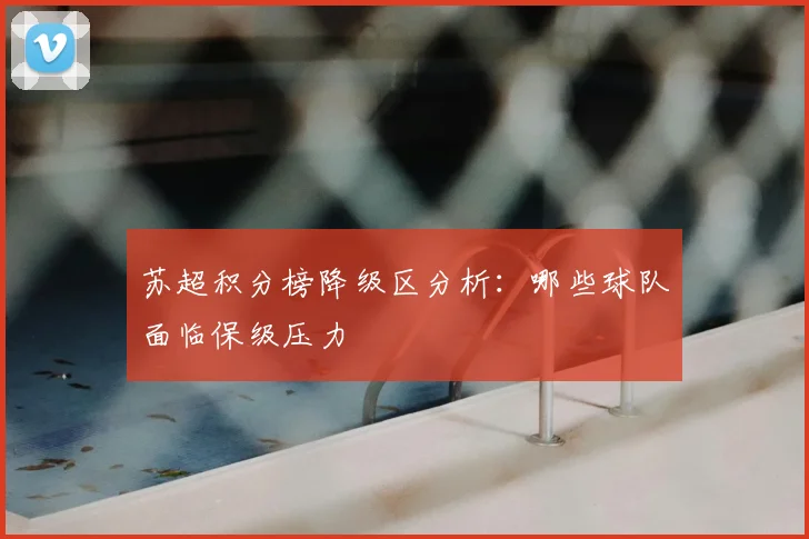 苏超积分榜降级区分析：哪些球队面临保级压力