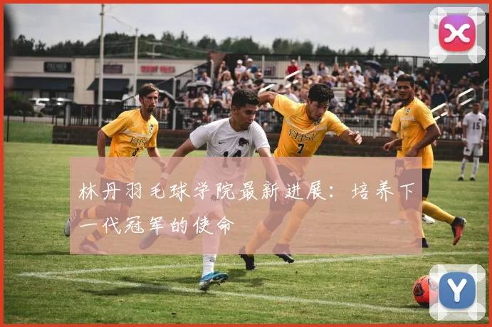 林丹羽毛球学院最新进展：培养下一代冠军的使命