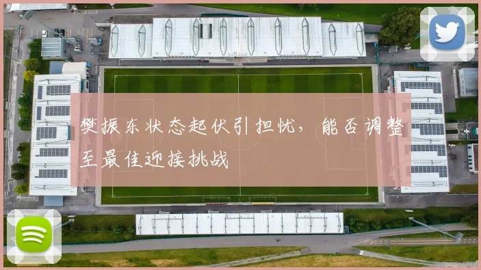 樊振东状态起伏引担忧，能否调整至最佳迎接挑战